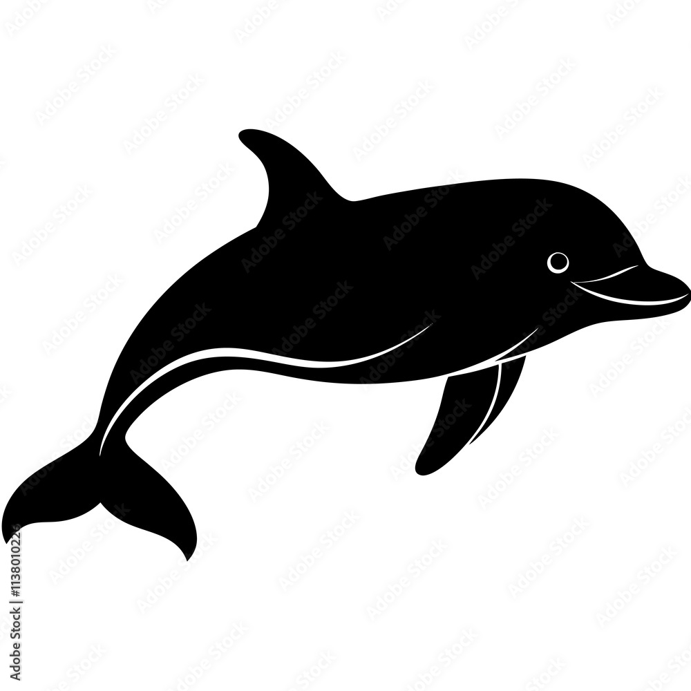 Fototapeta premium Beluga Whale Silhouette vector illustration