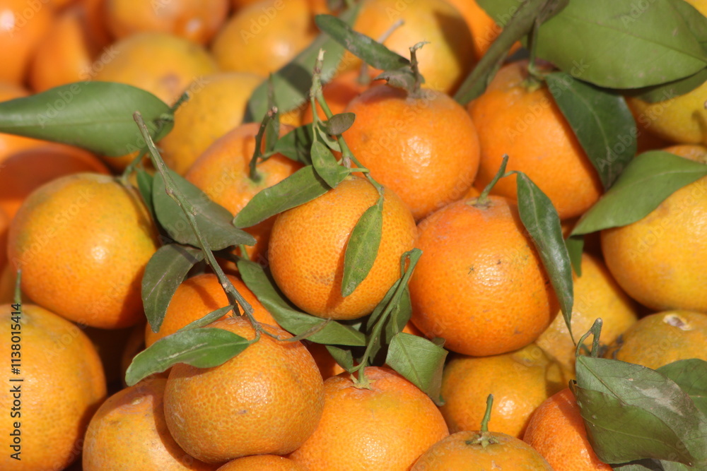 Fresh Oranges with green leaves Fresh Oranges with green leaves