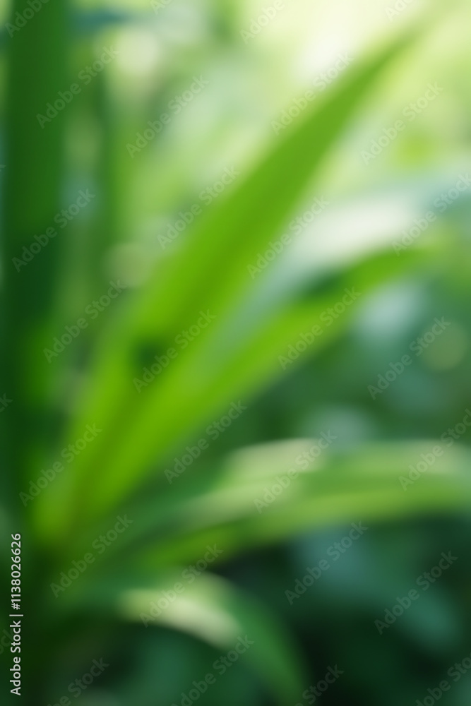 Tropical leaves create a blurred abstract pattern in a luxury palm leaf design with subtle natural shadows and concepts._00002_ Tropical leaves create a blurred abstract pattern in a luxury palm leaf design with subtle natural shadows and concepts._00002_