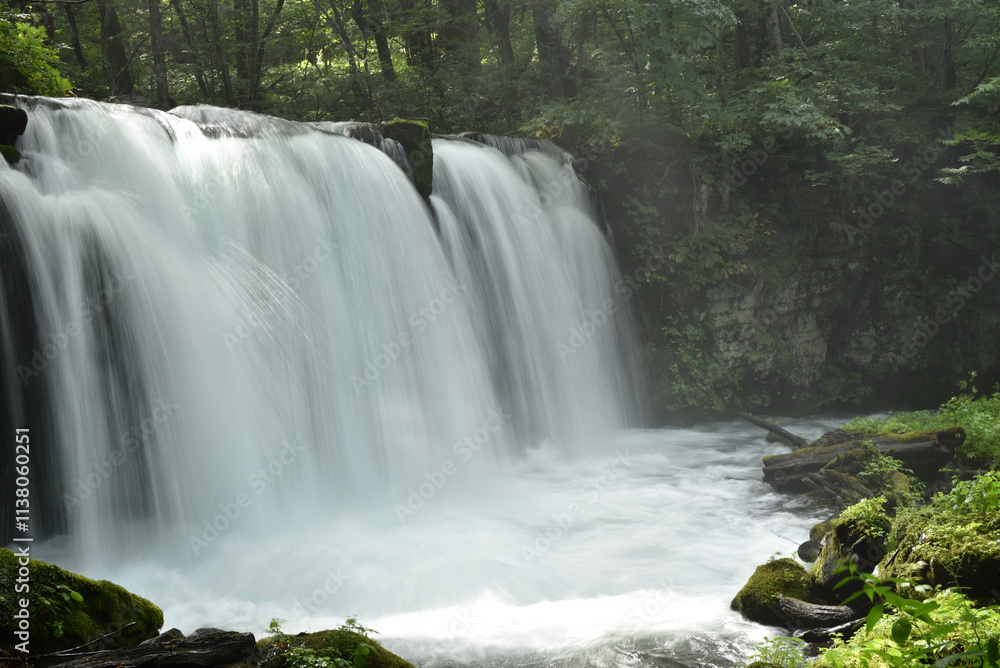 Obraz premium 青森県・夏の奥入瀬渓流 銚子大滝で涼を求める