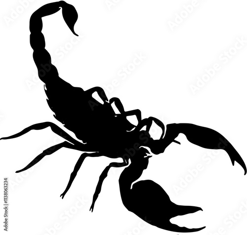 scorpion isolated on white background