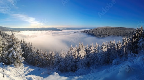 Wallpaper Mural Stunning winter panorama of mountain range shrouded in morning fog with snow-covered trees under a clear blue sky. Torontodigital.ca