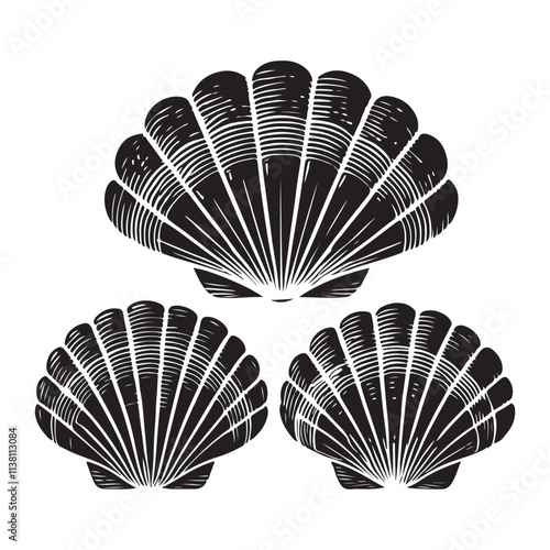 Clam Silhouette Vector Illustration, Solid White Background.