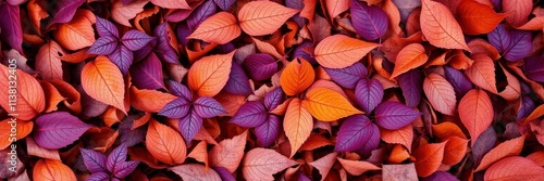 Wallpaper Mural Dry orange metallic leaves scattered in a beautiful pattern on a vibrant violet background, orange, seasonal Torontodigital.ca