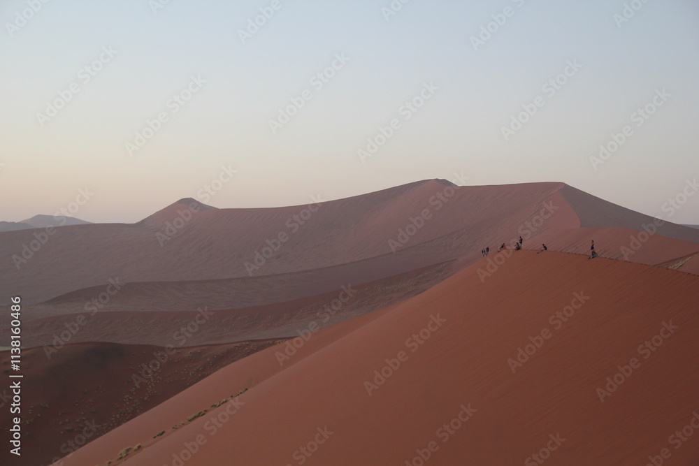 Fototapeta premium sand dunes in park