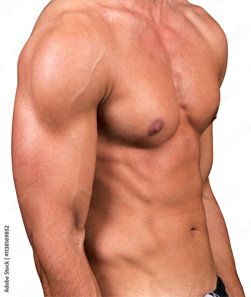 Fototapeta premium Body fit male torso