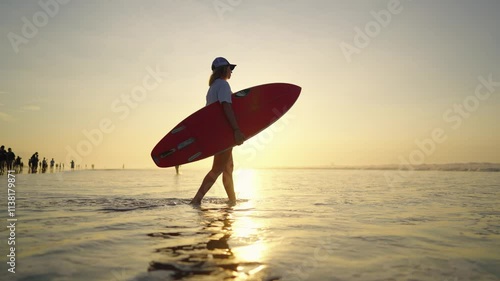 People admiring sunset above ocean, girl surfer walking to water on sandy beach . Beauty of nature on seashore, relaxation and contemplation, summer vacation and holidays, surfing in oceanic coast
