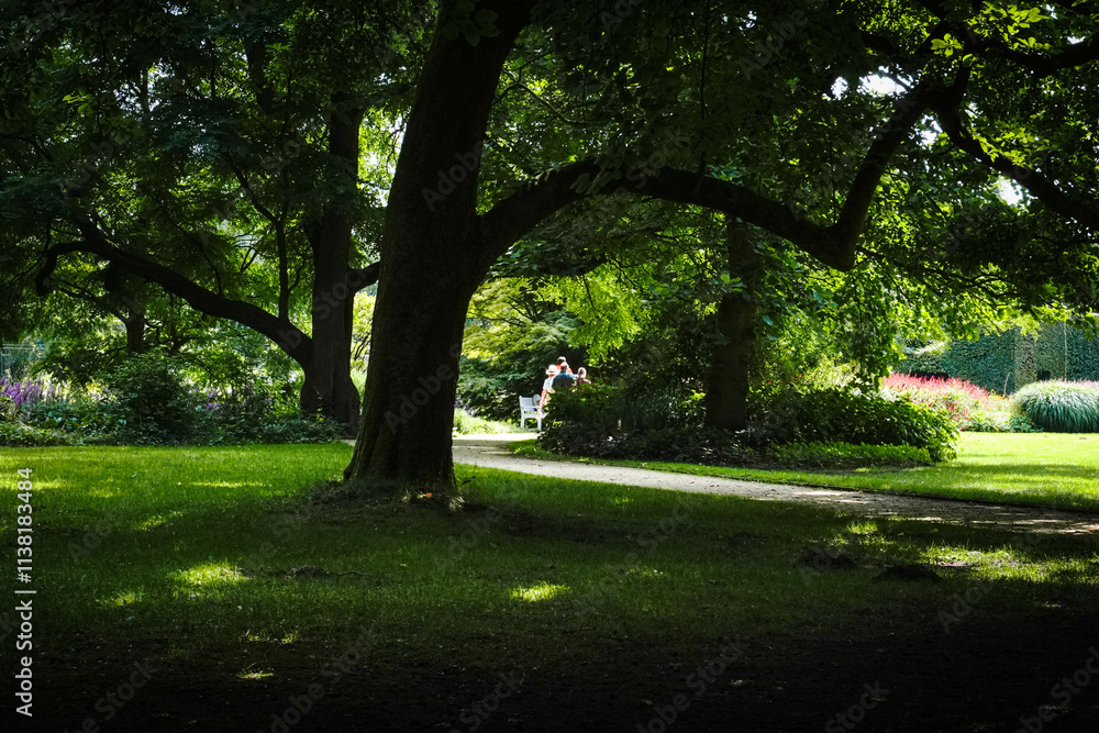 Obraz premium A green park shaded by trees, offering a quiet and peaceful atmosphere