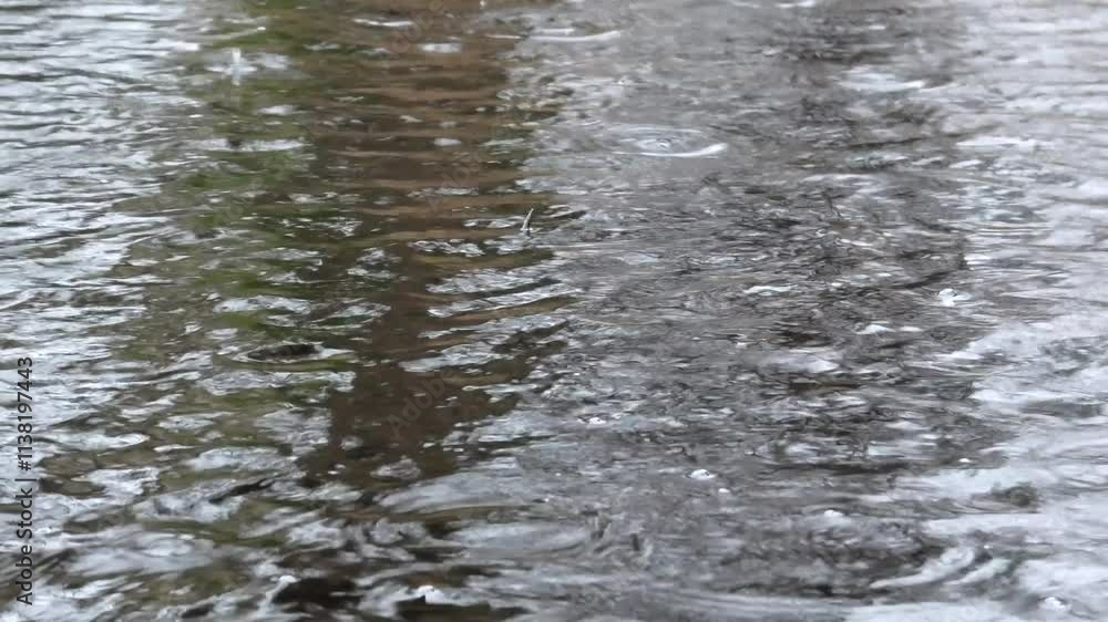 Wertvolles Sumpfgebiet bei Regen, Feuchtgebiet, Moor mit Birken, Riedgras, Binsen und Tümpeln Wertvolles Sumpfgebiet bei Regen, Feuchtgebiet, Moor mit Birken, Riedgras, Binsen und Tümpeln