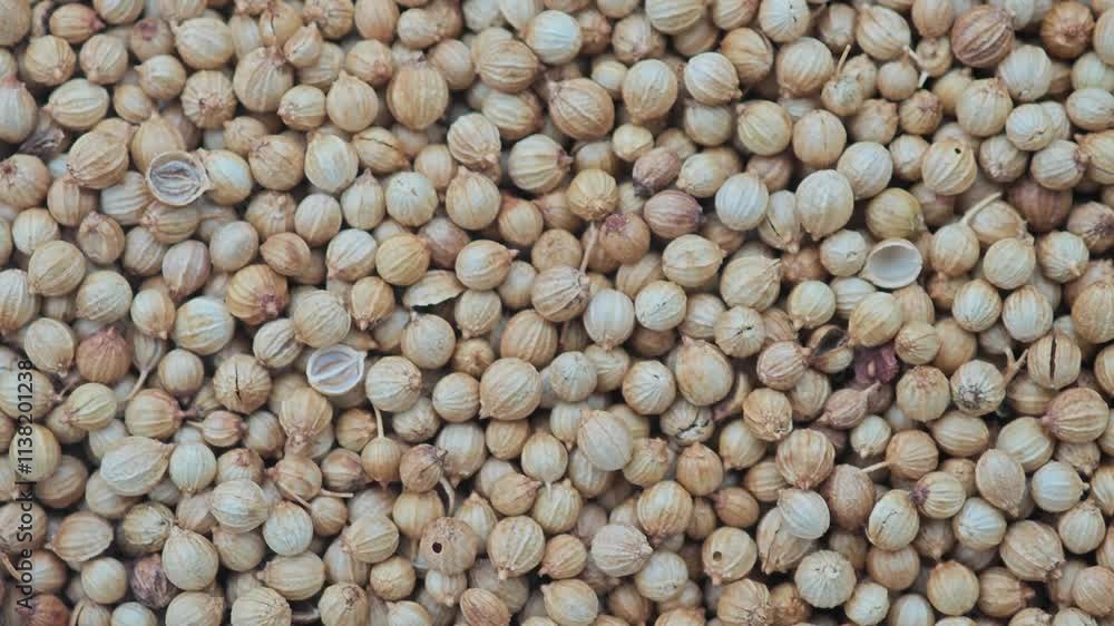 Coriander seeds Coriander seeds