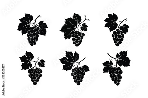 grape fruits silhouette vector illustration