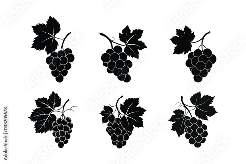 grape fruits silhouette vector illustration