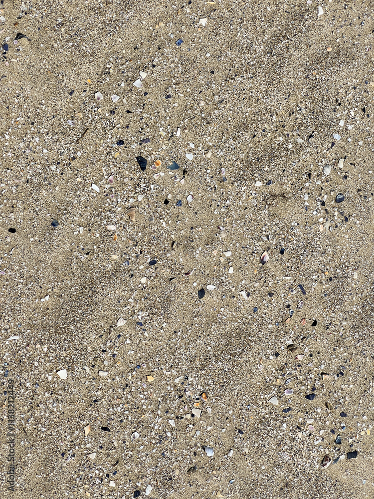 A detailed close up view of a sandy surface showing footprints in it A detailed close up view of a sandy surface showing footprints in it