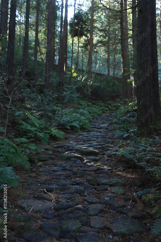 【神奈川】江戸時代の姿を留める旧東海道の石畳_箱根峠 【神奈川】江戸時代の姿を留める旧東海道の石畳_箱根峠