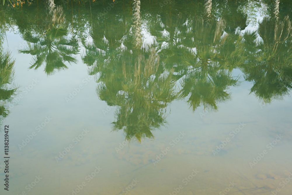 Tropical garden scene with palm tree. Tropical summer vacation. Exotic nature. Palm tree.