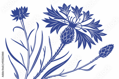 Cornflower Starburst-like petals with a bushy center vector silhouette on a white background