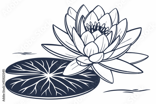 Exotic Flowers Lotus, A symmetrical bloom with rounded, layered petals, often resting on a lily pad vector silhouette on a white background