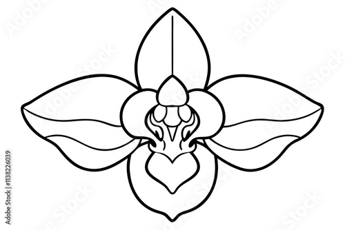 Orchid flower Intricate, symmetrical petals with a distinct central lip vector silhouette on a white background