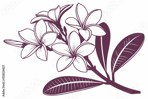 Plumeria (Frangipani) Five rounded petals with a central gradient effect vector silhouette on a white background