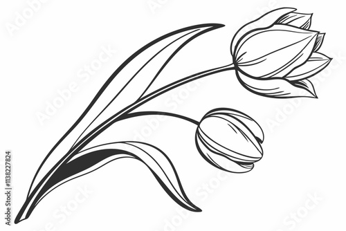 Tulip Simple, cup-shaped petals with a smooth, elongated stem vector silhouette on a white background