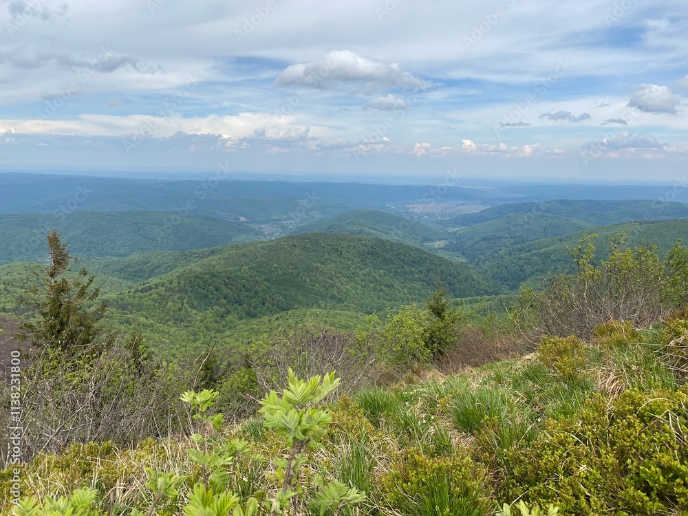 Obraz premium Mountain 