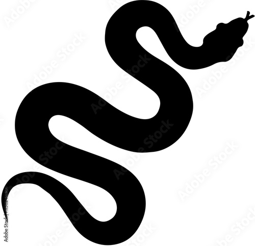 black and white snake
