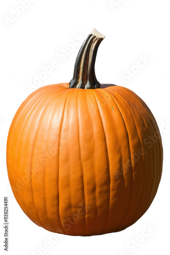 A large orange pumpkin with a green stem