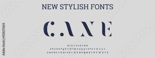 signature Font Calligraphy Logotype Script Brush Font Type Font lettering handwritten