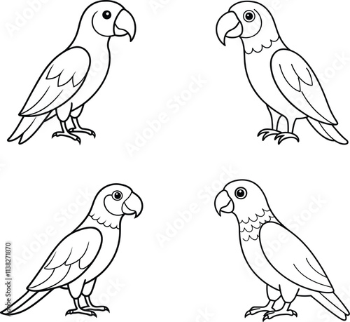 Black and White Echo Parrot Bird Line Art Illustration Set