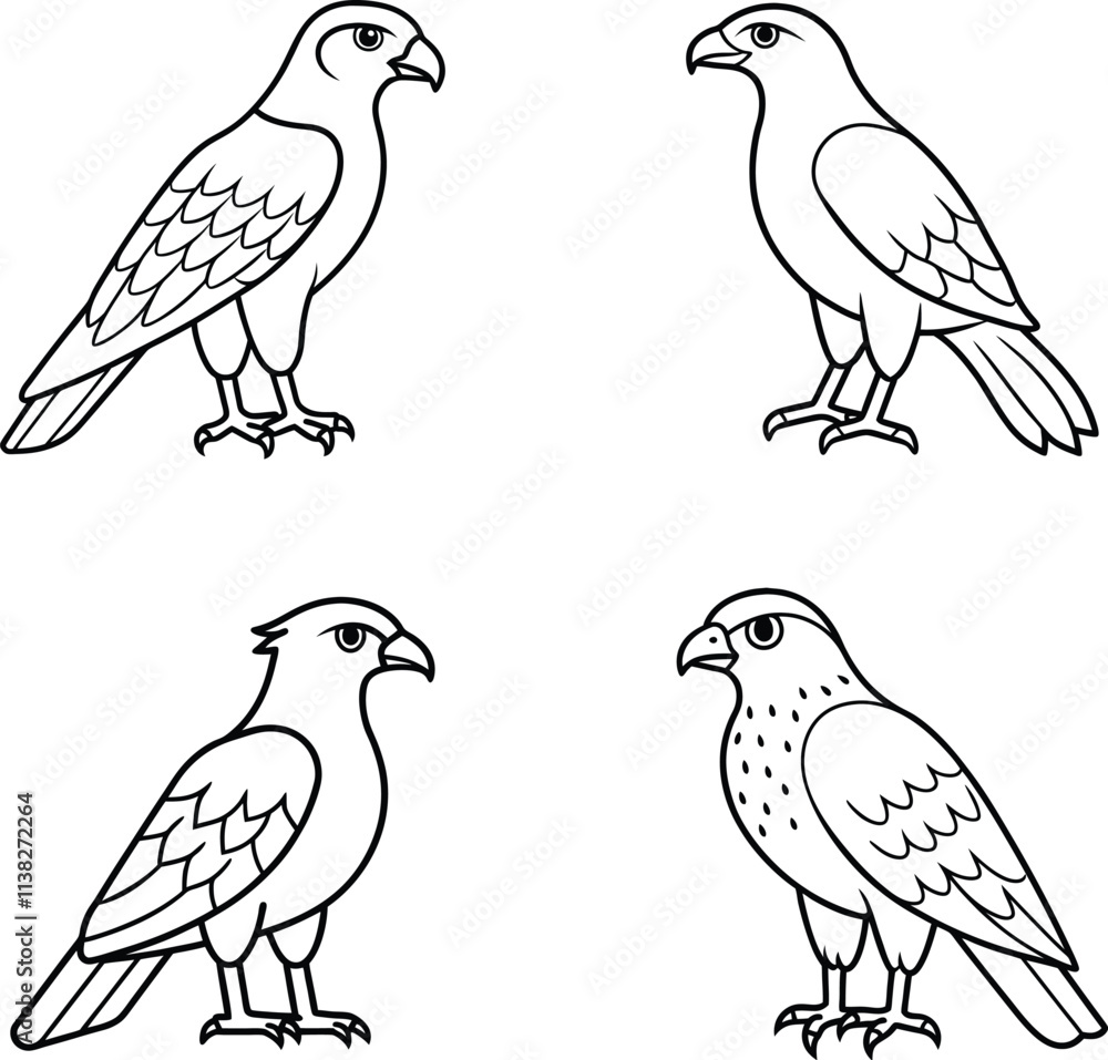 Black and White Zephyr Hawk Bird Line Art Illustration Set Black and White Zephyr Hawk Bird Line Art Illustration Set