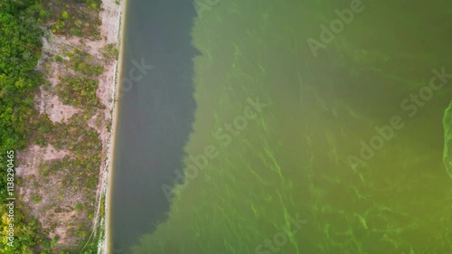 The problem of environmental ecology and freshwater pollution. top view of a polluted green river, flying over a river with green blooming algae in it