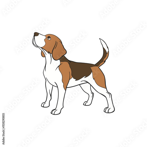 Beagle dog standing alertly on transparent