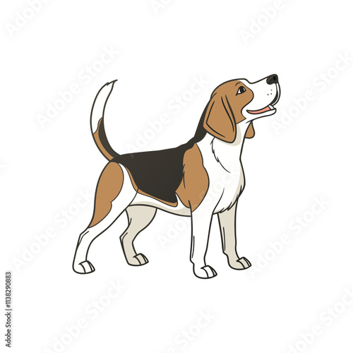 Beagle dog standing alertly on transparent