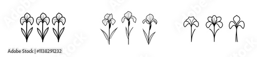 Art Nouveau Style Iris Flowers: Vintage Modern Illustration with Black Outlines.