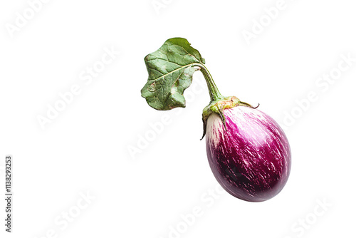 a eggplant with a stem photo