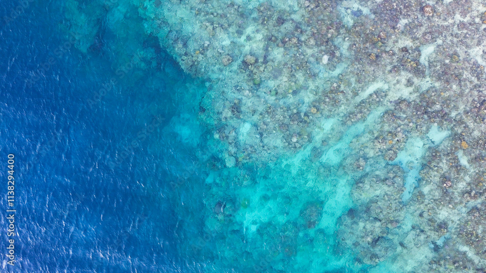 Aerial view of the coral reef and turquoise sea. Aerial view of the coral reef and turquoise sea.