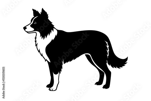 Border Collie Silhouette Vector Illustration of an Agile Dog with a Distinctive Stance