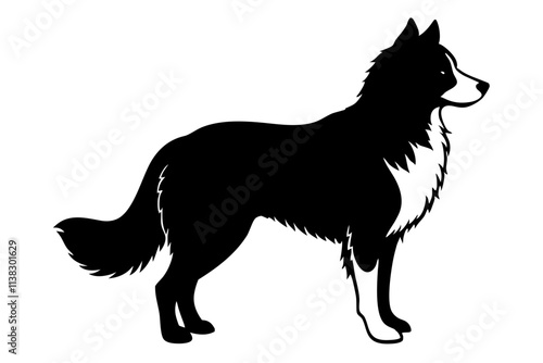 Border Collie Silhouette Vector Illustration of an Agile Dog with a Distinctive Stance