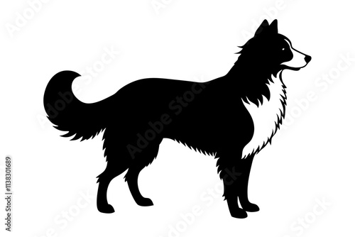 Border Collie Silhouette Vector Illustration of an Agile Dog with a Distinctive Stance