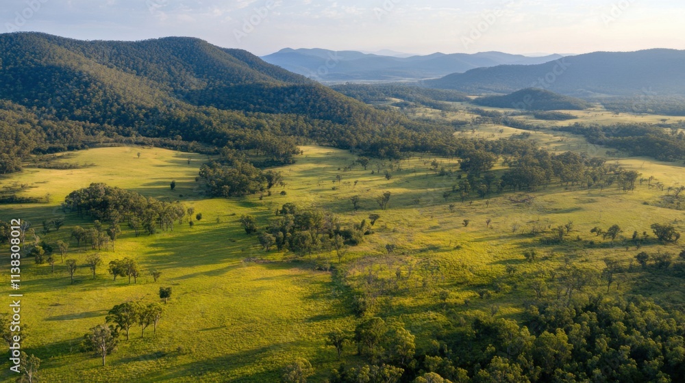 Protected national park with restored Protected national park with restored