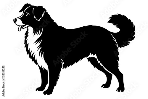 Australian Shepherd Silhouette Vector Illustration of a Dog Standing with a Slightly Fluffy Coat