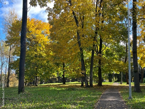 Sunny day in the park