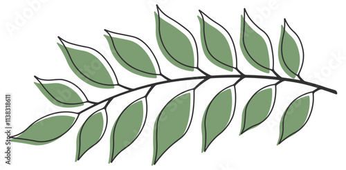 drawing of a branch with green leaves without background
