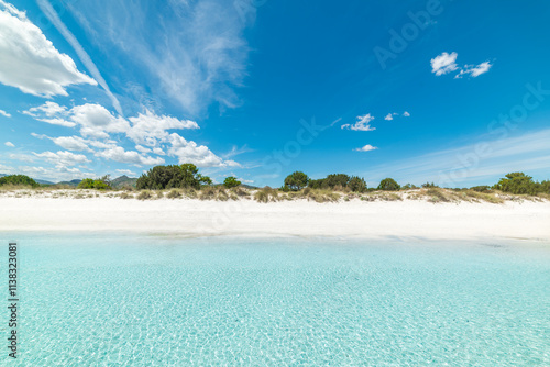 Fototapeta Naklejka Na Ścianę i Meble -  White sand and clear water in a beach on a sunny day