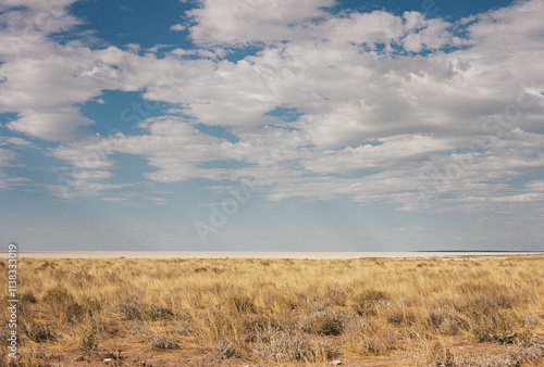 landscape in Namibia during safari trip