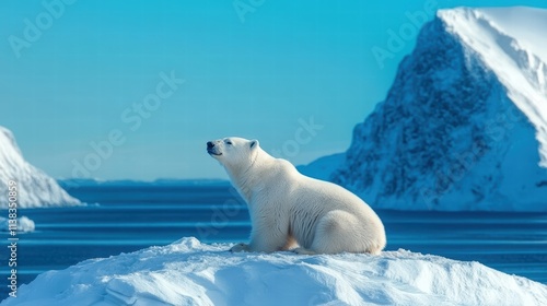 Polar bear sitting on ice floe in arctic landscape photo