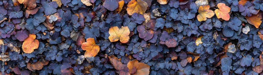 Autumn Leaves, A Tapestry of Deep Purple and Golden Hues Autumn Leaves, A Tapestry of Deep Purple and Golden Hues