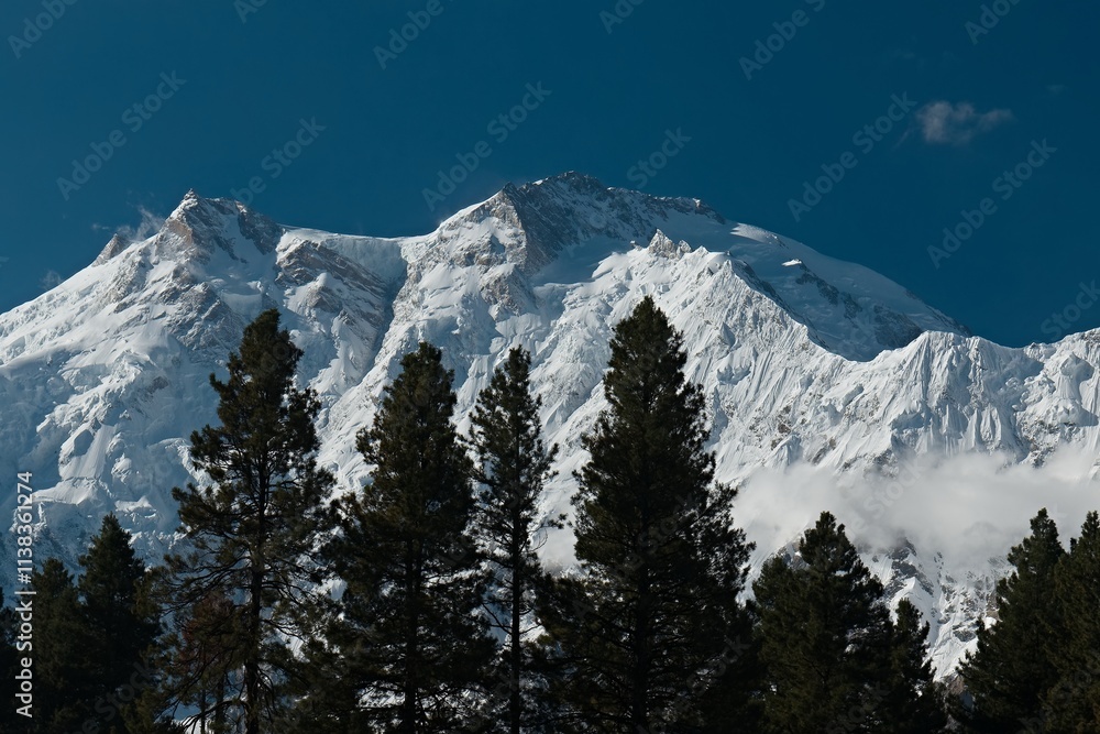View of Nanga Parbat 8,125 meters high from Fairy Meadows. Rakhiot Valley. Himalayas. Gilgit-Baltistan region. Pakistan. Asia. View of Nanga Parbat 8,125 meters high from Fairy Meadows. Rakhiot Valley. Himalayas. Gilgit-Baltistan region. Pakistan. Asia.