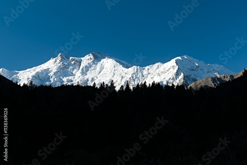 Nanga Parbat 8,125 meter high mountain at sunrise from Fairy Meadows. Rakhiot Valley. Himalayas. Gilgit-Baltistan region. Pakistan. Asia. photo