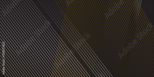 Wallpaper Mural Black and white abstract stripes line background for backdrop or presentation. Abstract vector high tech parallel wave line elegant black striped diagonal line technology concept web texture.  Torontodigital.ca